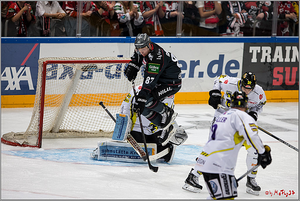 Koelner Haie - Krefeld Pinguine , 23.09.16(KW38)
